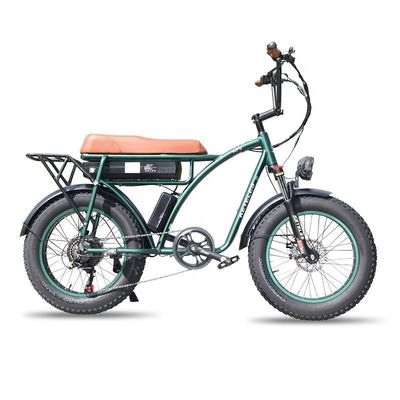 23AH Pojemność baterii 1000W 2000W Motor 20 cali Fat Bike Elektryczny rower Custom Support