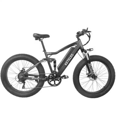 48V 250W Motor Electric Mountain Bike z akumulatorem litowym 10AH i zintegrowaną baterią