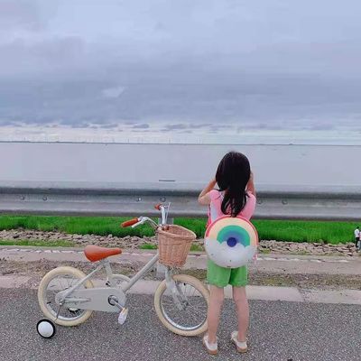 Koło z stopem INS Style 16 Inch Retro Rower dziecięcy pojedyncza prędkość dla 4-8 lat dzieci